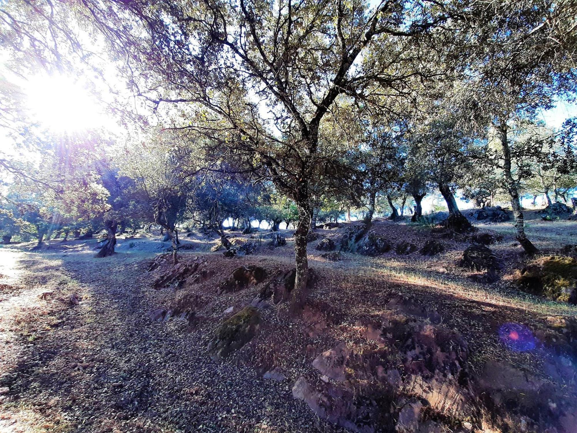 Casa Rural Gurumelo 아레세나 외부 사진
